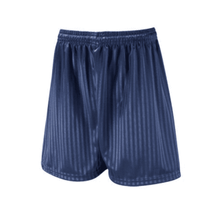 Navy Shorts