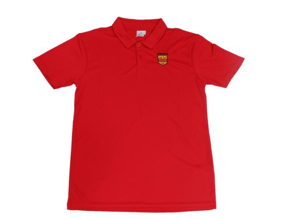 Dowdales Senior Red PE Polo Shirt