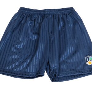 UVHS Navy Shadow Stripe Shorts