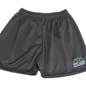 Black Mesh Shorts
