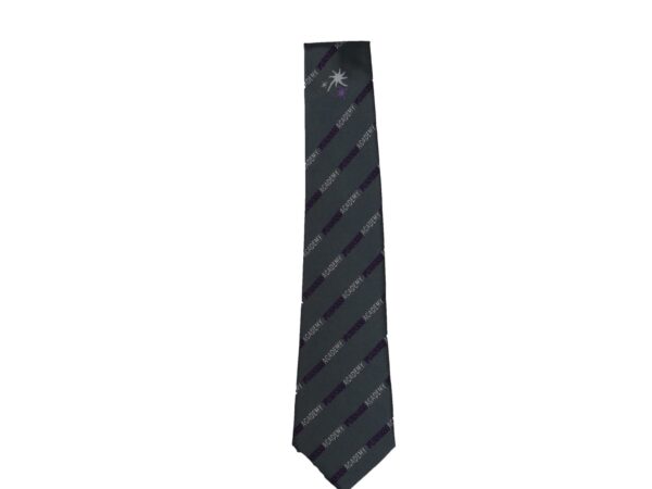 Furness Academy Ties