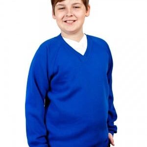 Dark Royal V Neck Sweatshirt