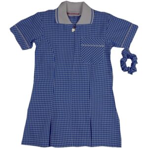 Sky Gingham Dress