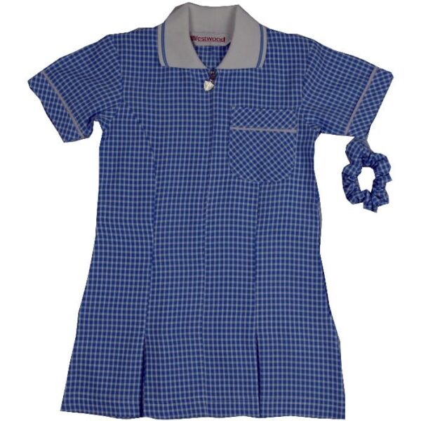 Sky Gingham Dress