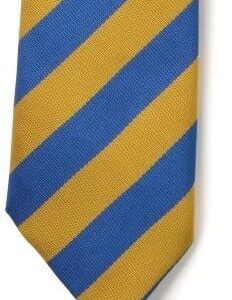 Royal / Gold Stripe Tie