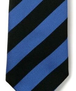Royal / Black Stripe Tie