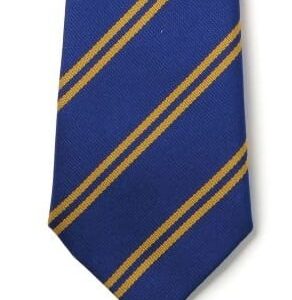 Royal / Gold Twin Stripe Tie