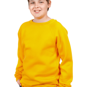 Gold Sweatshirt (D)
