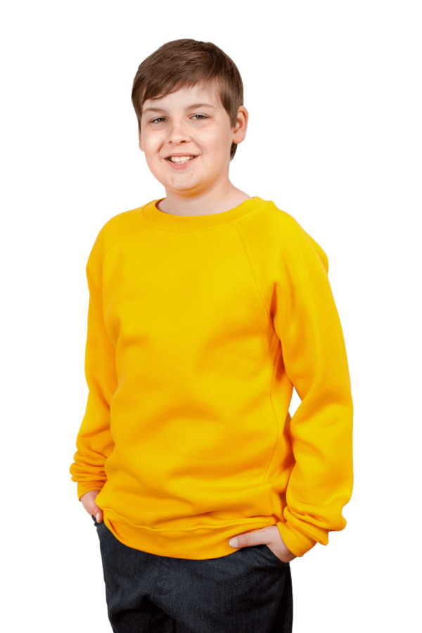 Gold Sweatshirt (D)