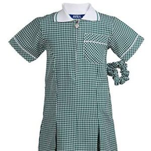 Green Gingham Dress