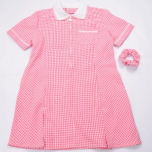 Pink Gingham Dress