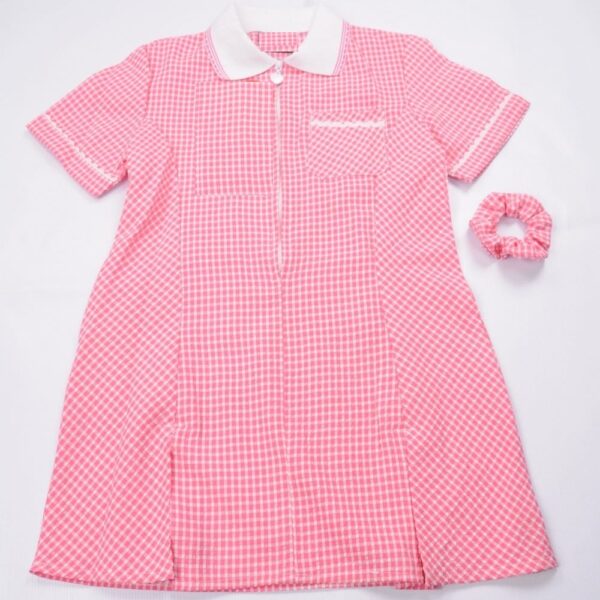 Pink Gingham Dress