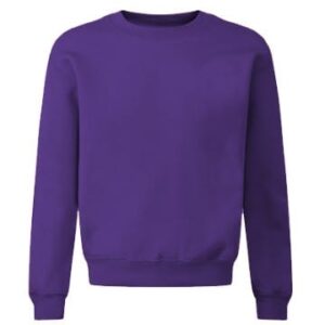 Purple Sweatshirt