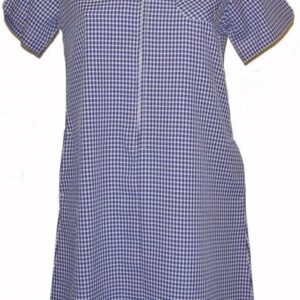 Purple Gingham Dress