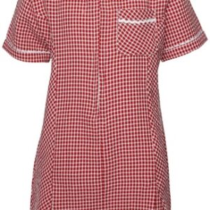 Red Gingham Dress