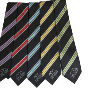 West Lakes Academy Ties