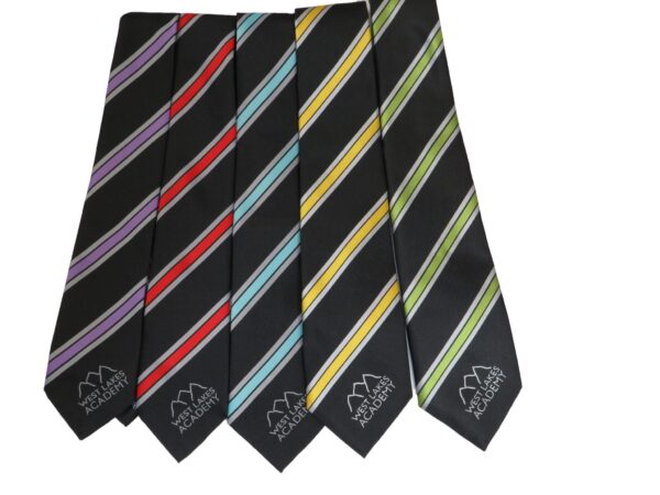 West Lakes Academy Ties
