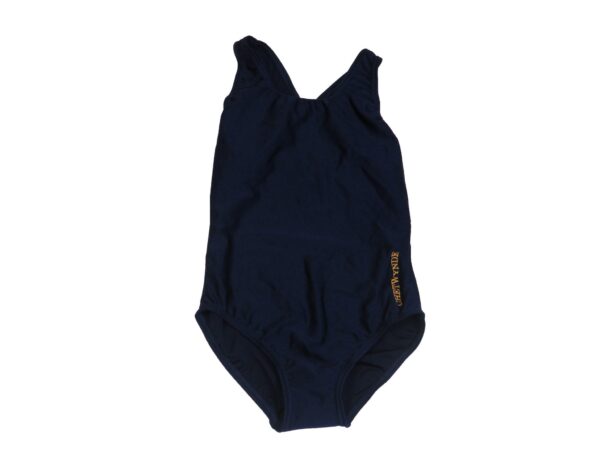 Chetwynde Swim Costume