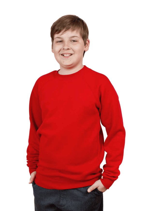 Little Wagtails Sweatshirt