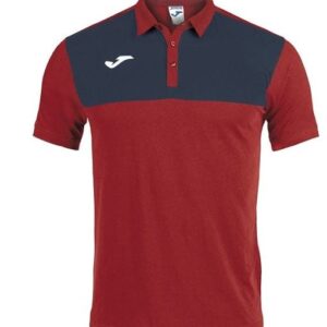 Hawcoat Park FC Winner Polo