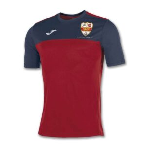 Hawcoat Park FC Winner T Shirt Youth