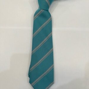 Turquoise / Sliver twin stripe