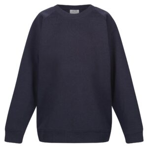 Navy Sweatshirt (D)